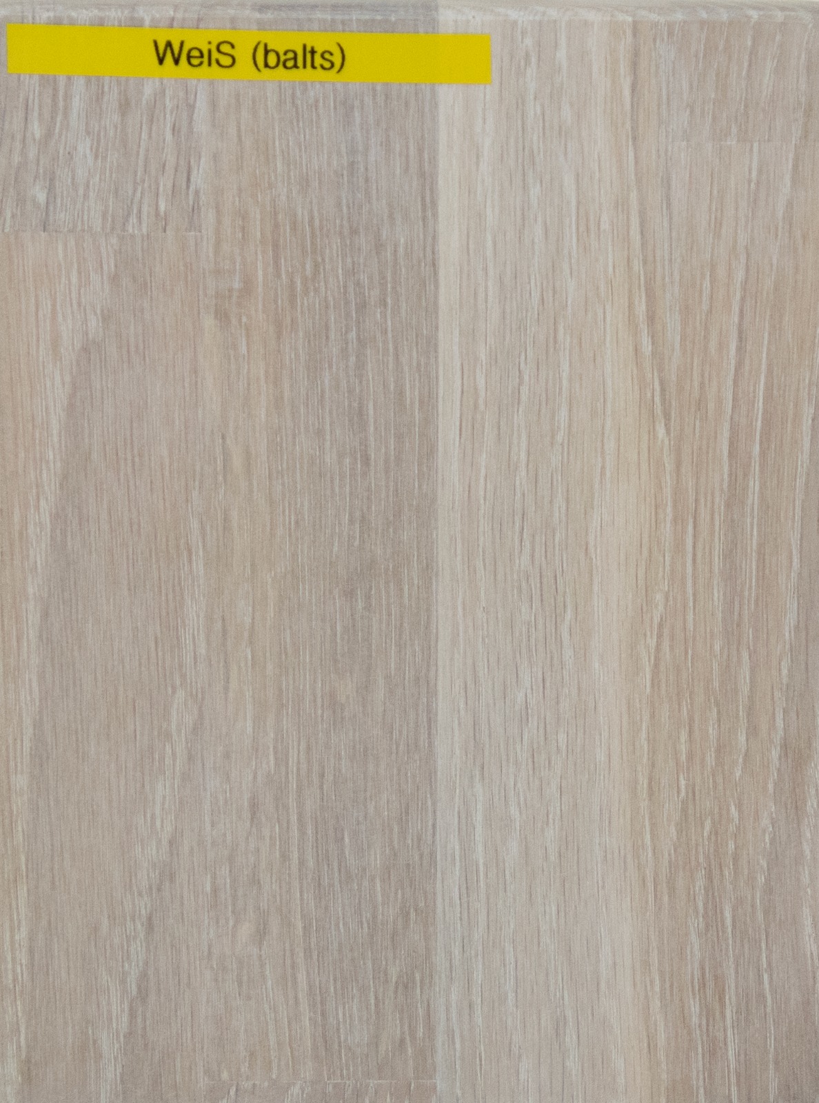 Ozolkoka paraugs WEISS — balts
